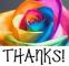 rose-thank you!