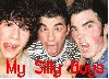Jonas Brothers, My Silly Boys