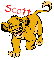 scott