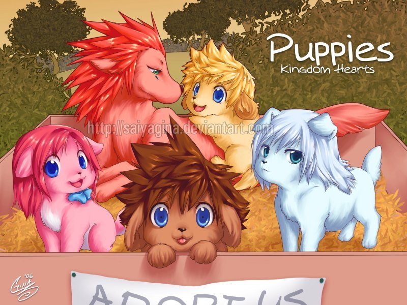 Its so Cute. Sora is the brown puppy, Kari is the pink, Riku is the white,