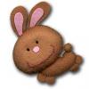 brown bunny