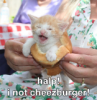 cheezeburgerz kitty!!
