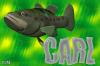 Carl Bass Fish