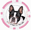 Boston Terrier Pink Poker Chip