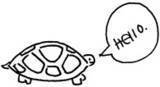 hello turtle ^o^