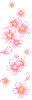 cute pink flowers