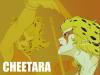 Cheetara-Thundercats