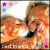 Kitty-Cat-Friends