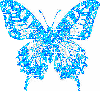 light blue color butterfly