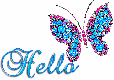 Hello-moobutterfly4