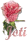 Rose with Name