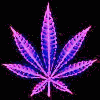 pot leaf [legalize it]
