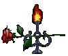 Rose's candle