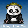 panda bear