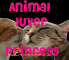 Animal Luver Princess