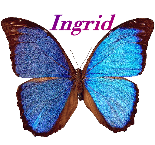 Butterfly - Ingrid