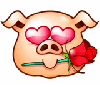 a pig in love