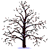 season tree