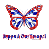 Support Our Trioops