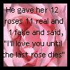 12 rosess