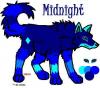 midnight furry-paws