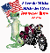 Harley Davidson and a Gekko (with flag)- Live to Ride Ride to Live Freedom Ride 2008