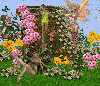 Fairy garden
