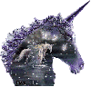 Sparkled Unicorn