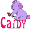 Caidy - Purple Elephant