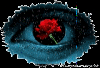 Eye w/rose