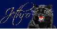 Panther (black) Tag- Jethro