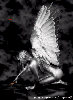 Angel/snake/bfly