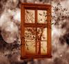 Window of the Universe