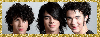 Jonas Brothers (glitter boarder)