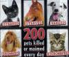 Help Stop Animal Abuse!