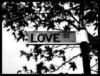 love street