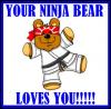 Ninja Teddy Bear 
