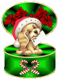 Christmas Pup