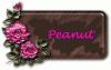 Flower tag that says Peanut