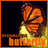 Your Little Butterfly