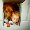 sharing doggy door
