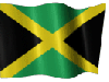 The jamaican flag