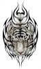 white tiger tattoo