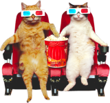 movie cats