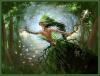 forest fairy
