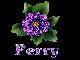Perry-Flower