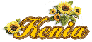 Kenia sunflowers