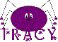 Tracy - purple spider