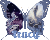 glitter unicorn butterfly