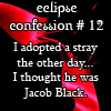 Eclipse Confession